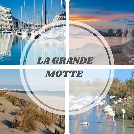 Apartment Sun7 -face Plage- Wifi-parking -piscine - Pros Servicesconciergerielagrandemotte La Grande-Motte