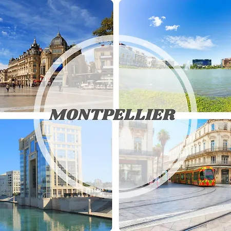 Sun7 -face Plage- Wifi-parking -piscine - Pros Servicesconciergerielagrandemotte *