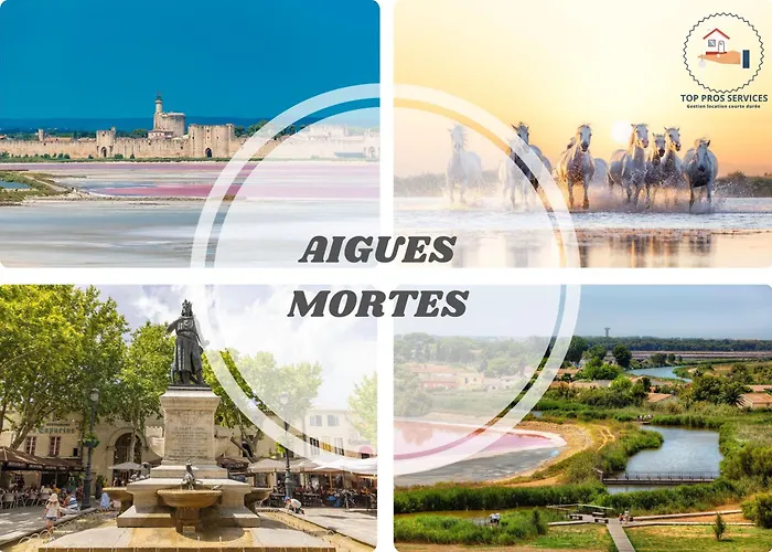 Apartamento Sun7 -face Plage- Wifi-parking -piscine - Pros Servicesconciergerielagrandemotte